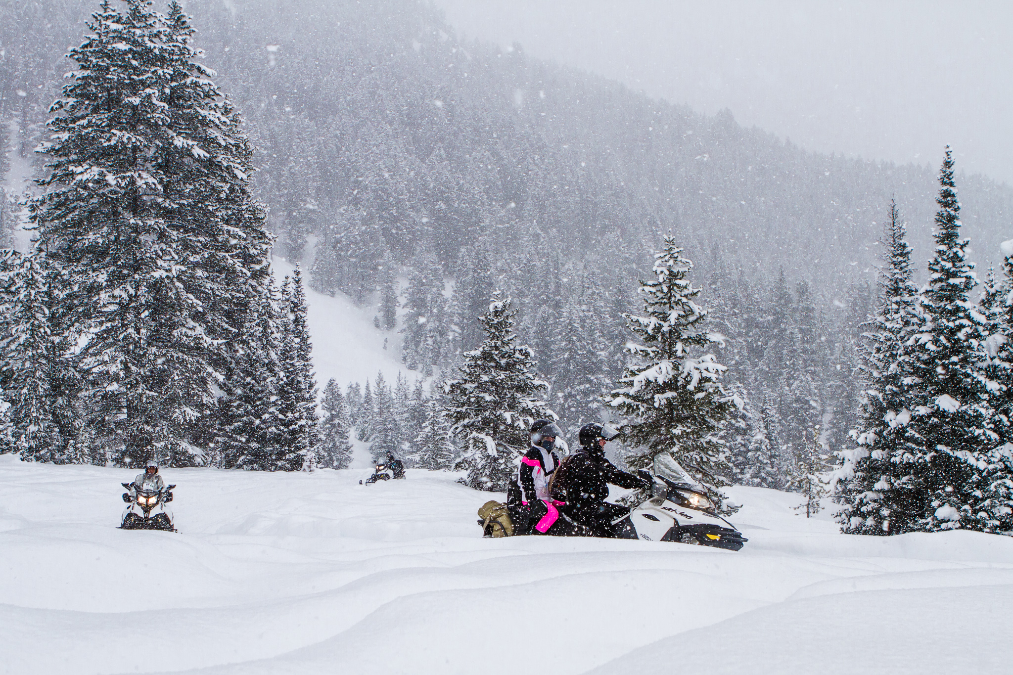 snowmobiling in Jackson Hole