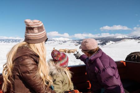 Family of three watching a herd of animals on a winter wildlife tour in Jackson Hole