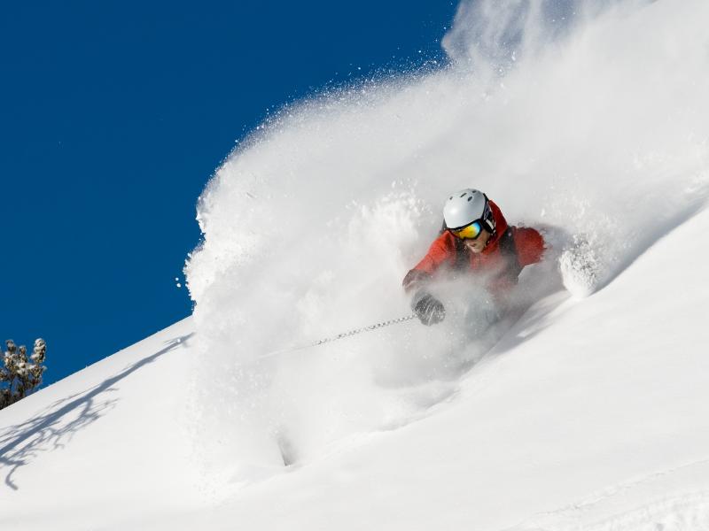 50” IN 50 HOURS