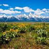 Spring Activities in Jackson Hole