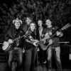 Showroom Session with The SteelDrivers