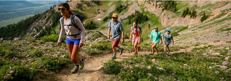 a group of five people hike in Jackson Hole on a sunny day