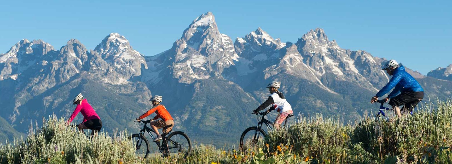 a family of four mountain bike on a sunny day in Jackson Hole