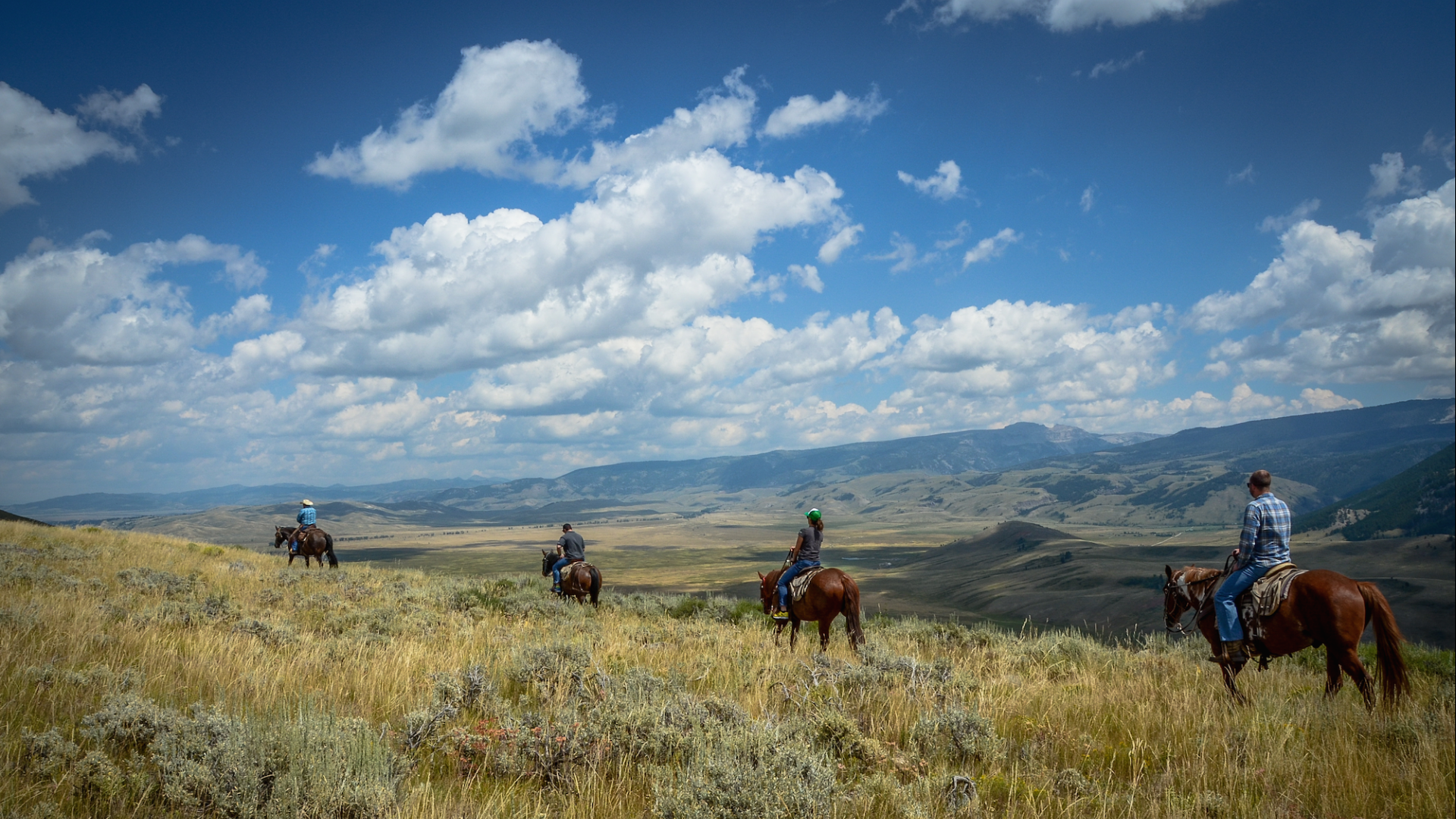 Jackson Hole WY Activities The Wort Hotel