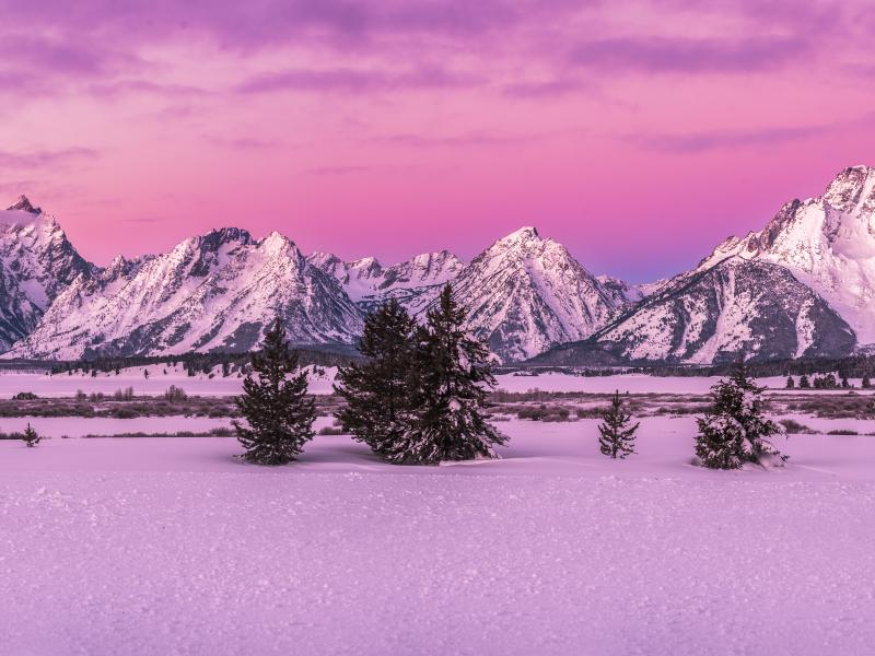 Top 5 Valentine’s Day Ideas in Jackson Hole