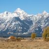 The Wort Hotel Has Plenty of Deals for You This Off-Season
