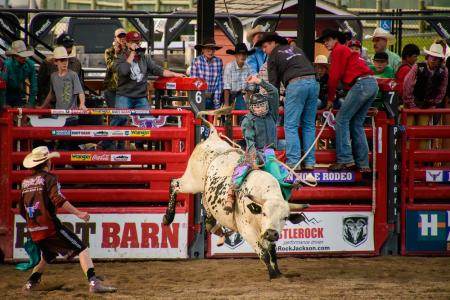 A person in a helment and protective gear rides a bull during a rodeo in Jackson Hole, WY